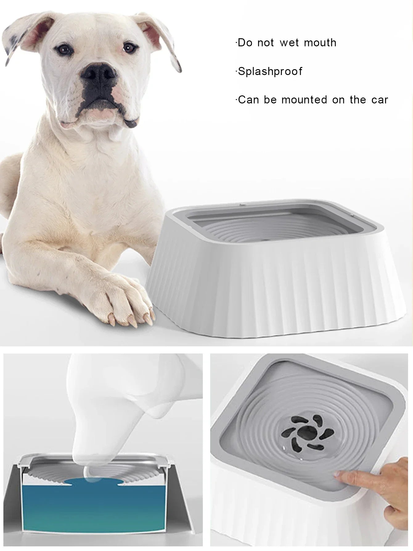 Spill‑Proof Floating Pet Water Feeder