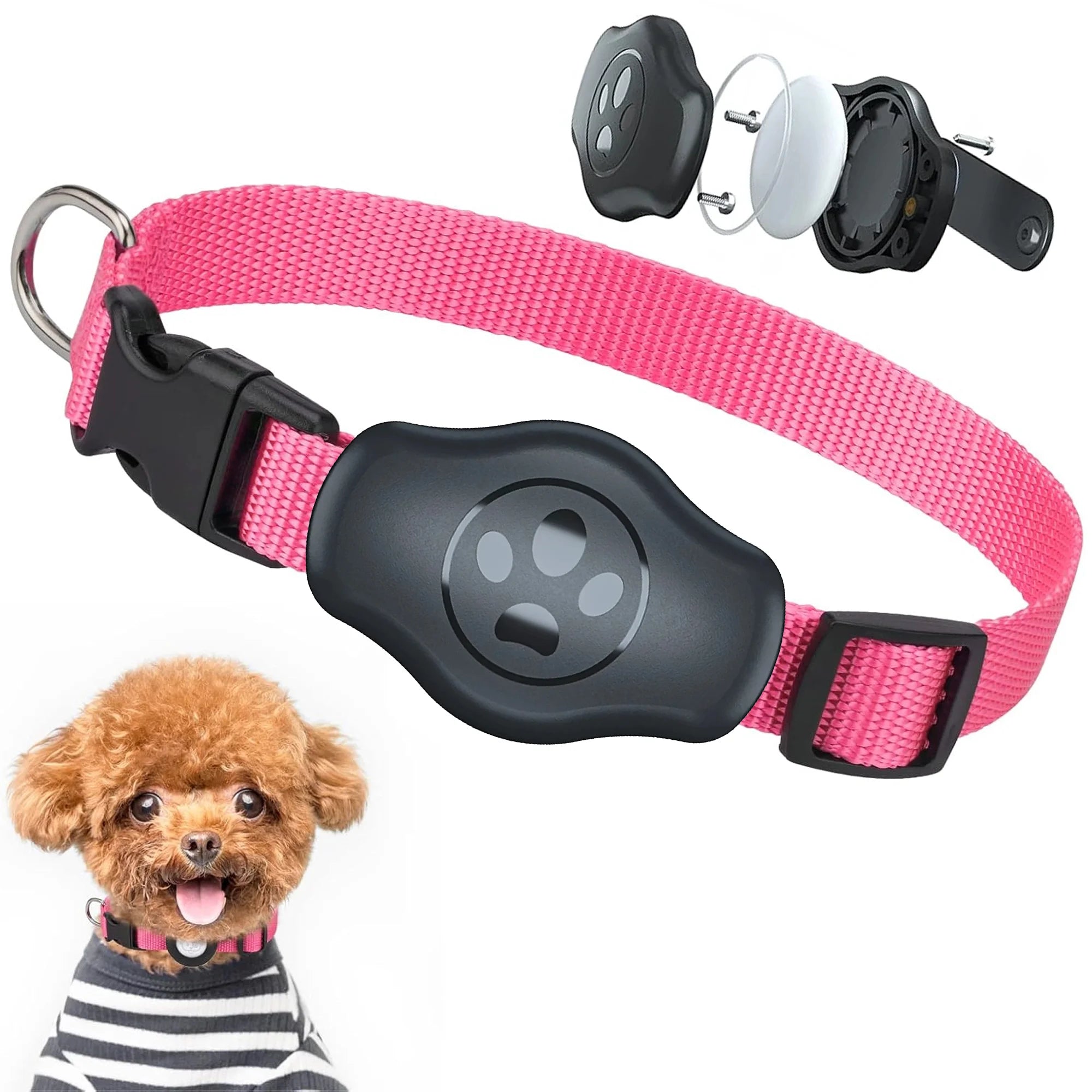 The Ultimate All-Terrain Tracking Collar (waterproof)