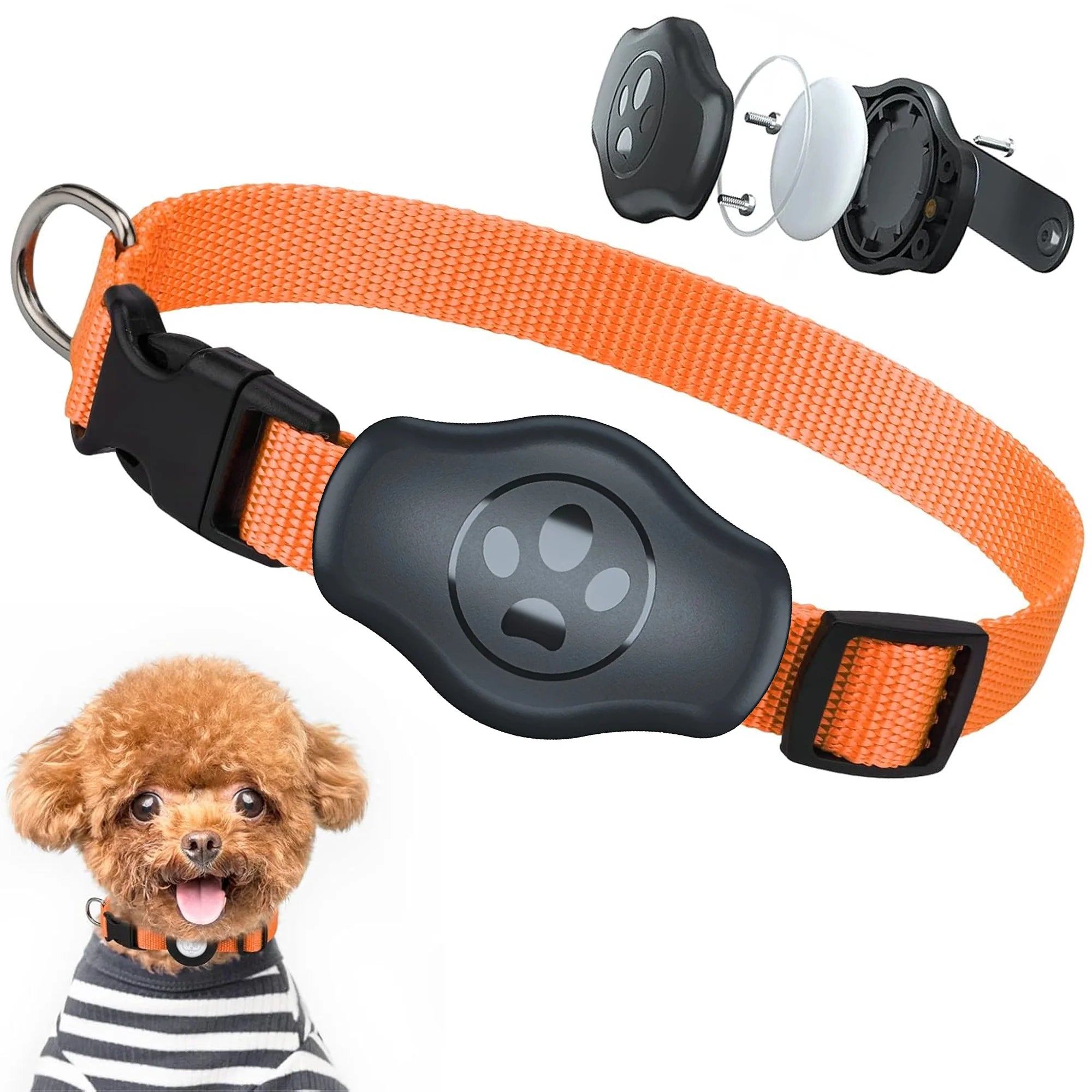 The Ultimate All-Terrain Tracking Collar (waterproof)
